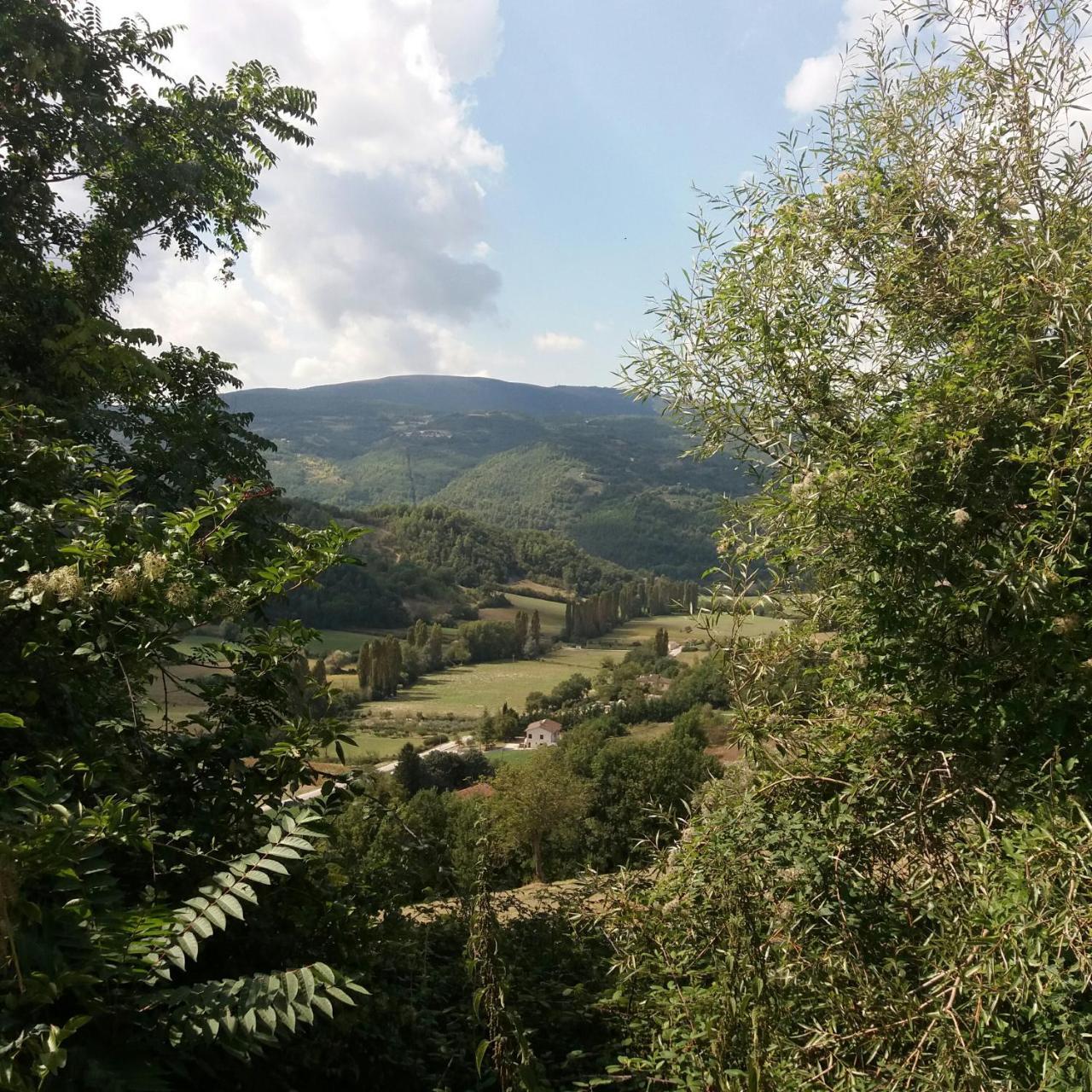 Casa Zia Cianetta Residenza Di Campagna Konuk evi Capodacqua  Dış mekan fotoğraf